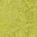 Marmoleum Real 3224 chartreuse