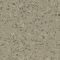 Affinity 4443 Lime Taupe, NCS:4010-G90Y, LRV:25,1