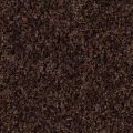 Coral Brush 5724 chocolate brown