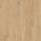 Korlok RKP8117 Canadian Nude Oak