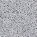0597 Pixel Silver