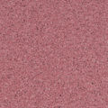 2188 Pixel Raspberry