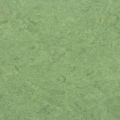 Marmorette 0100 Frog Green NCS3030-G40Y LRV 31,4