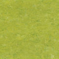 Marmorette 0132 Lime Green NCS2050-G60Y LRV 38,1