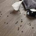 DP5000001 dąb balsamiczny