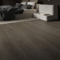 DP5000001 dąb balsamiczny