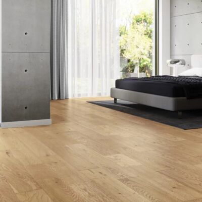 Dąb Lofoi 1H1000004